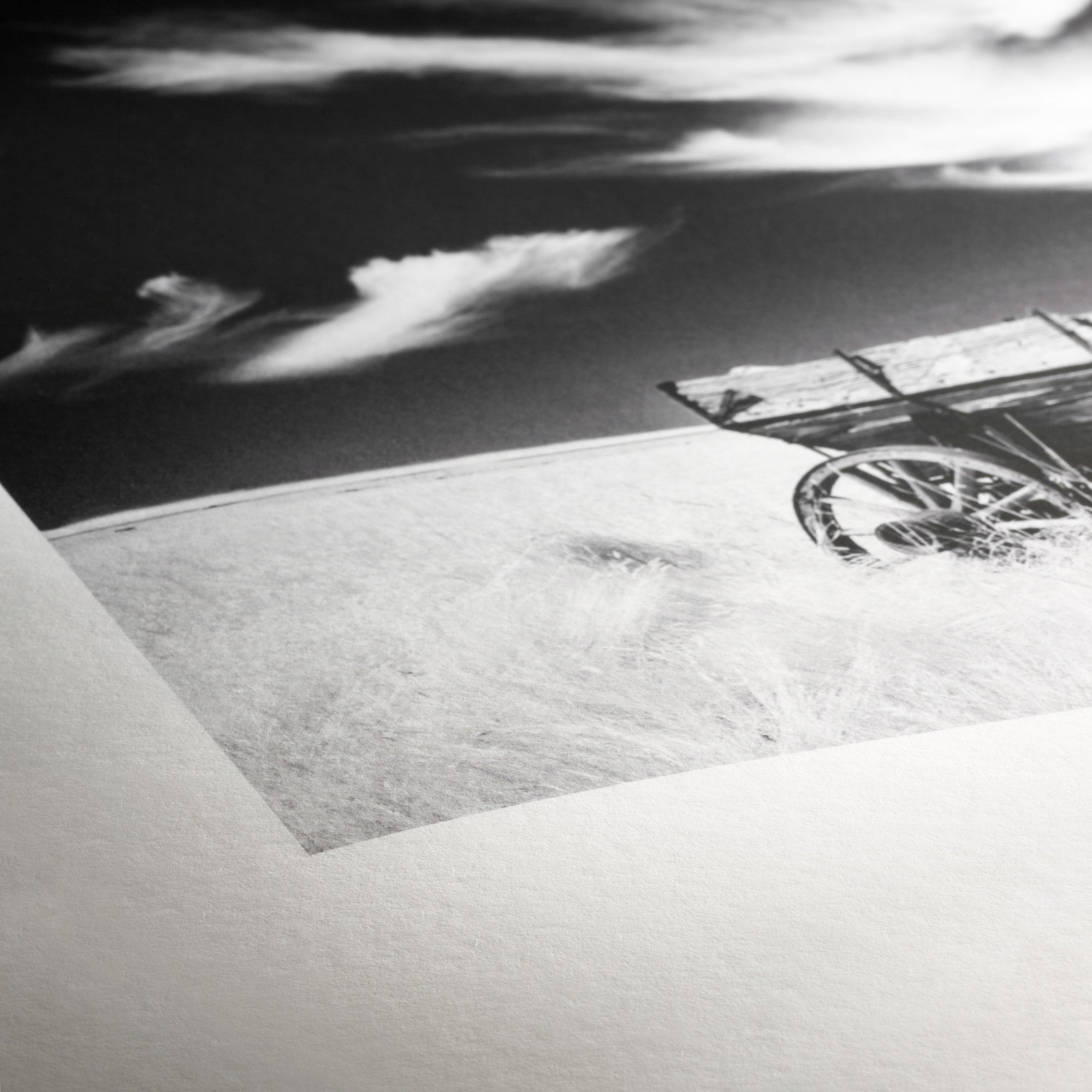 Photo Print